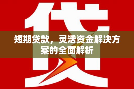 横山短期贷款，灵活资金解决方案的全面解析