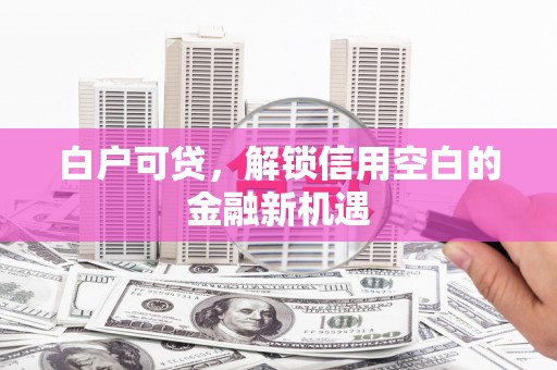 横山白户可贷，解锁信用空白的金融新机遇
