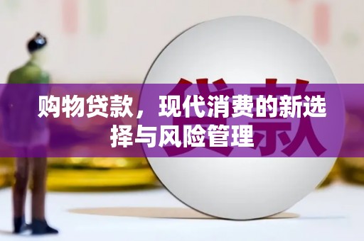 横山购物贷款，现代消费的新选择与风险管理