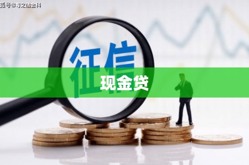横山现金贷
