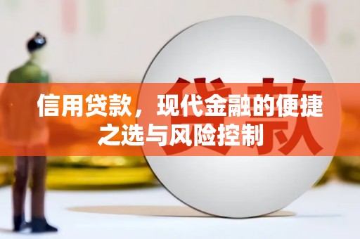 横山信用贷款，现代金融的便捷之选与风险控制
