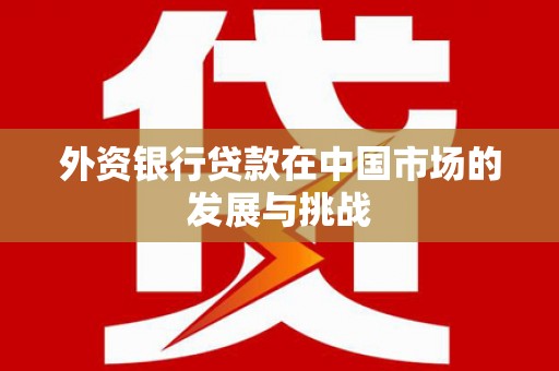 横山外资银行贷款在中国市场的发展与挑战