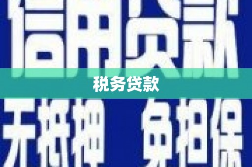 横山税务贷款