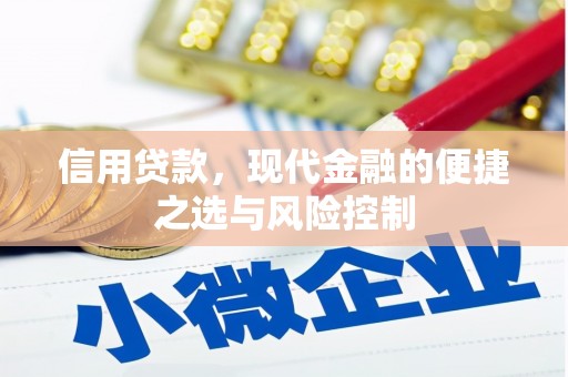 横山信用贷款，现代金融的便捷之选与风险控制