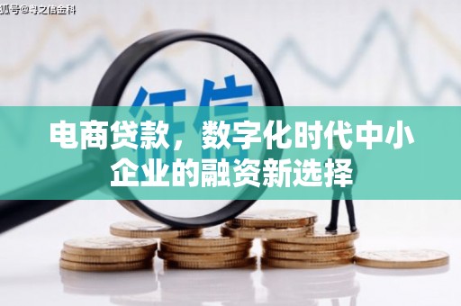 横山电商贷款，数字化时代中小企业的融资新选择