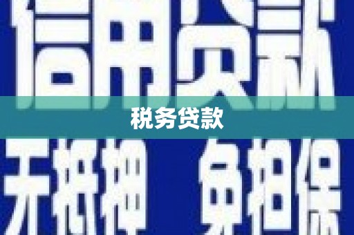 横山税务贷款