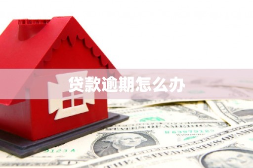 横山贷款逾期怎么办