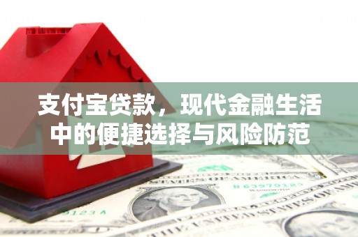 横山支付宝贷款，现代金融生活中的便捷选择与风险防范