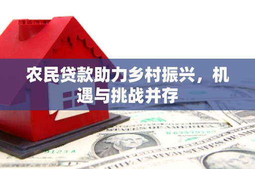 横山农民贷款助力乡村振兴，机遇与挑战并存