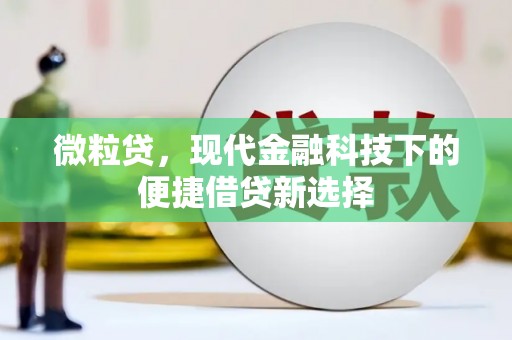 横山微粒贷，现代金融科技下的便捷借贷新选择