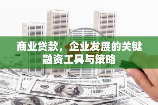 横山商业贷款，企业发展的关键融资工具与策略