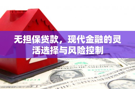 横山无担保贷款，现代金融的灵活选择与风险控制