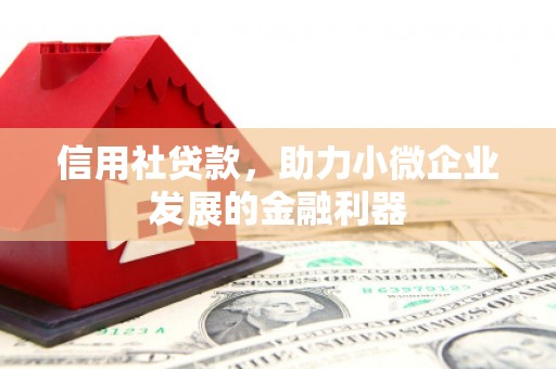 横山信用社贷款，助力小微企业发展的金融利器