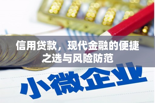 横山信用贷款，现代金融的便捷之选与风险防范
