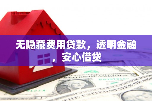 横山无隐藏费用贷款，透明金融，安心借贷