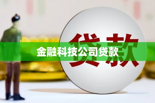 横山金融科技公司贷款