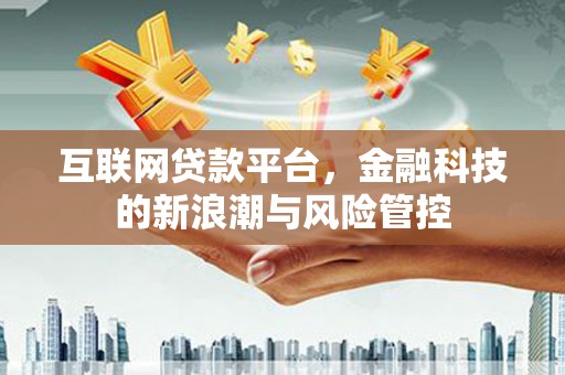 横山互联网贷款平台，金融科技的新浪潮与风险管控
