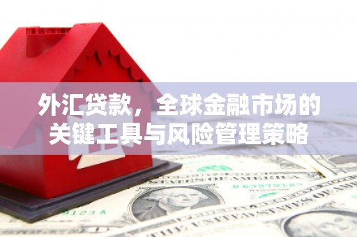 横山外汇贷款，全球金融市场的关键工具与风险管理策略
