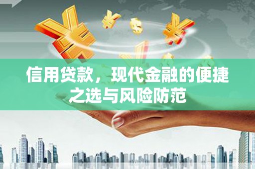 横山信用贷款，现代金融的便捷之选与风险防范