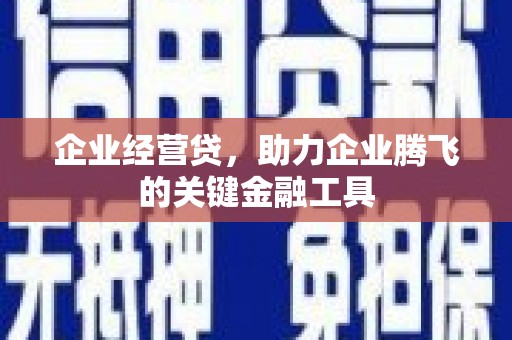 横山企业经营贷，助力企业腾飞的关键金融工具