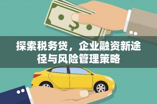 横山探索税务贷，企业融资新途径与风险管理策略