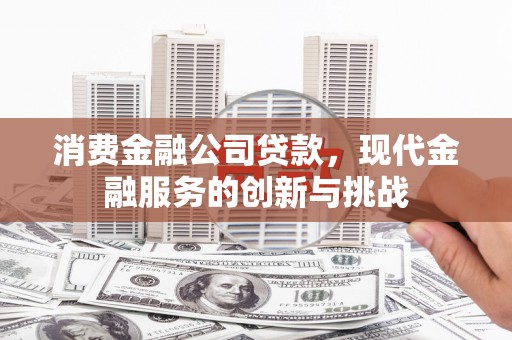 横山消费金融公司贷款，现代金融服务的创新与挑战