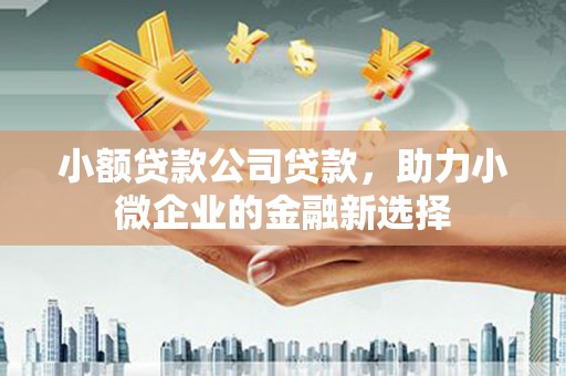 横山小额贷款公司贷款，助力小微企业的金融新选择