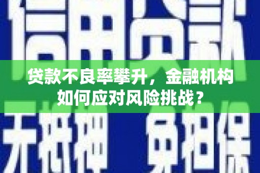 横山贷款不良率攀升，金融机构如何应对风险挑战？