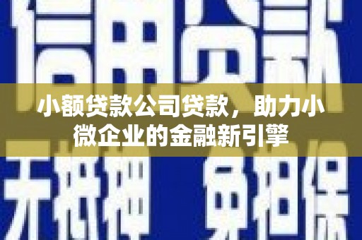 横山小额贷款公司贷款，助力小微企业的金融新引擎