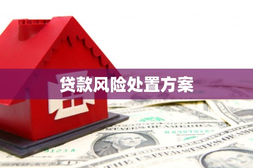 横山贷款风险处置方案