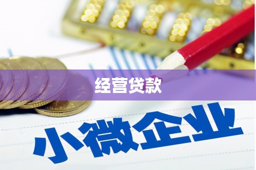 横山经营贷款