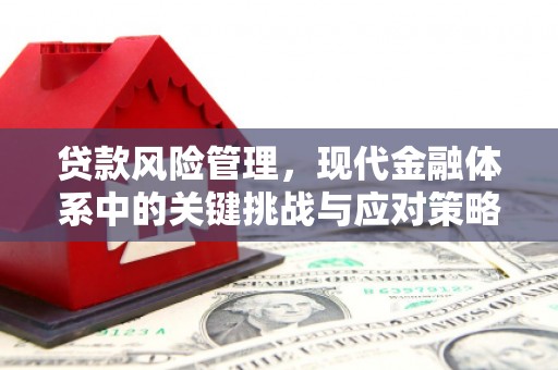 横山贷款风险管理，现代金融体系中的关键挑战与应对策略