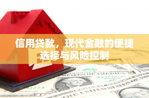 横山信用贷款，现代金融的便捷选择与风险控制