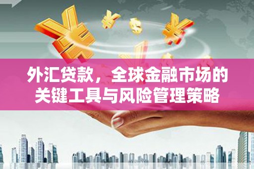 横山外汇贷款，全球金融市场的关键工具与风险管理策略