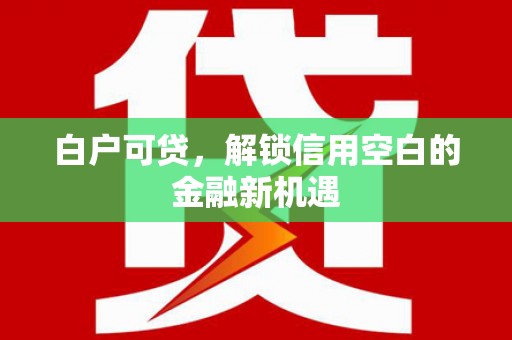 横山白户可贷，解锁信用空白的金融新机遇