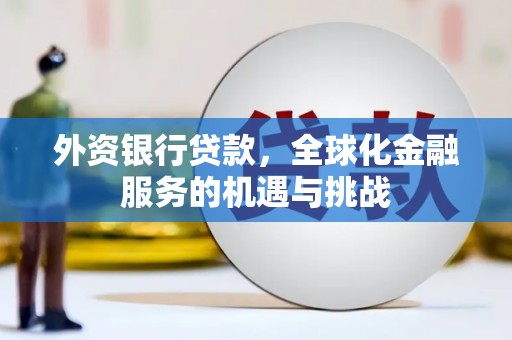 横山外资银行贷款，全球化金融服务的机遇与挑战