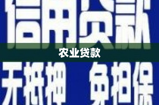 横山农业贷款