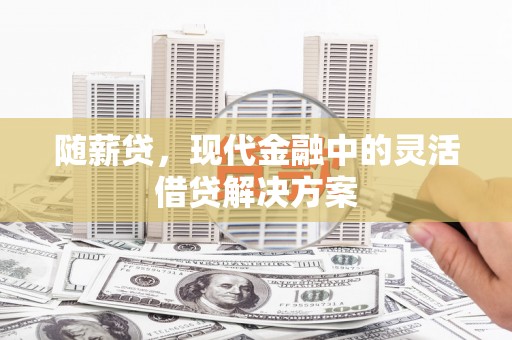 横山随薪贷，现代金融中的灵活借贷解决方案