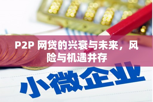 横山P2P 网贷的兴衰与未来，风险与机遇并存