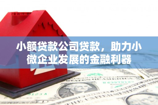 横山小额贷款公司贷款，助力小微企业发展的金融利器