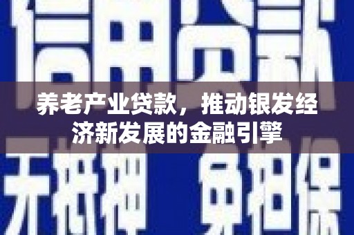 横山养老产业贷款，推动银发经济新发展的金融引擎