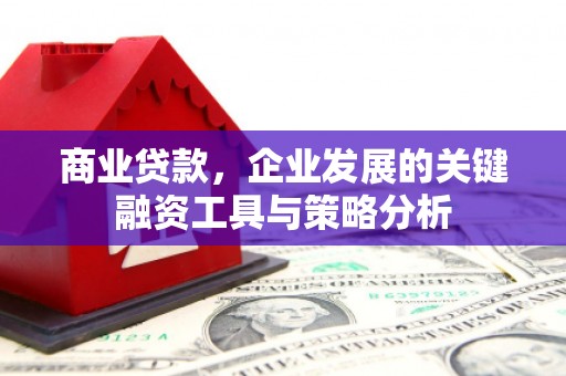 横山商业贷款，企业发展的关键融资工具与策略分析