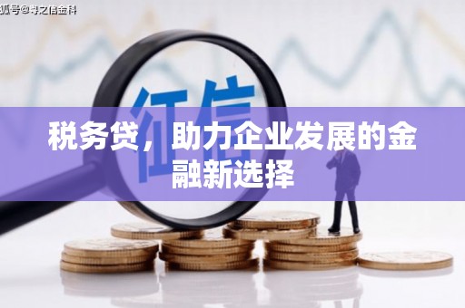 横山税务贷，助力企业发展的金融新选择