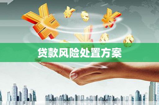 横山贷款风险处置方案