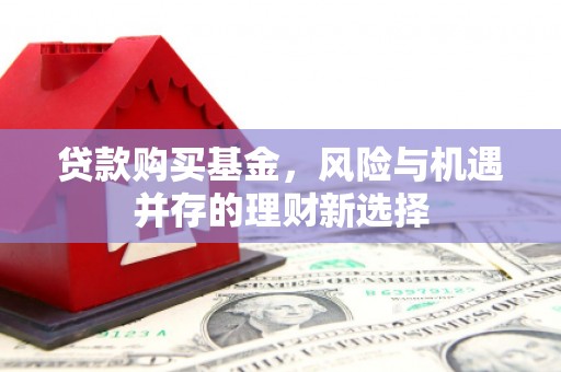 横山贷款购买基金，风险与机遇并存的理财新选择