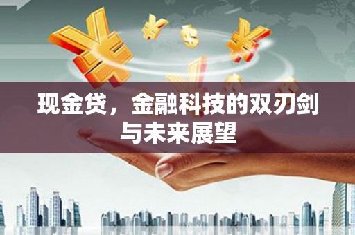 横山现金贷，金融科技的双刃剑与未来展望