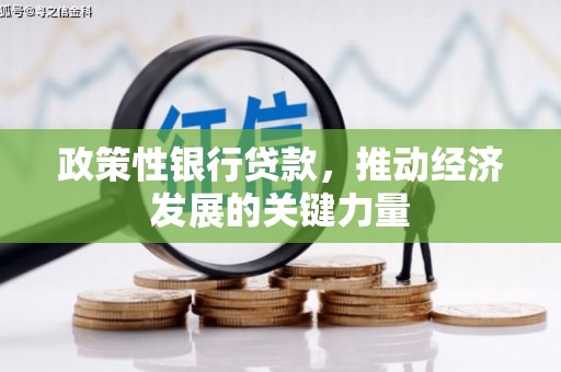 横山政策性银行贷款，推动经济发展的关键力量