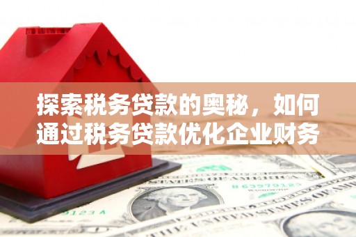 横山探索税务贷款的奥秘，如何通过税务贷款优化企业财务