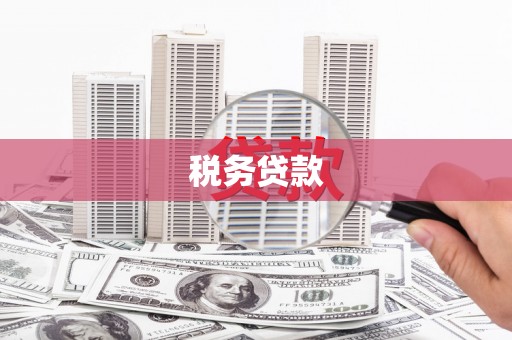 横山税务贷款
