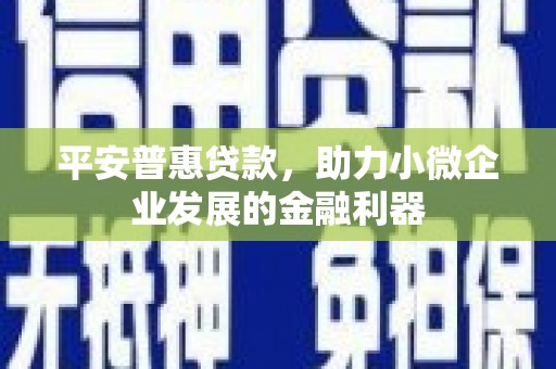 横山平安普惠贷款，助力小微企业发展的金融利器